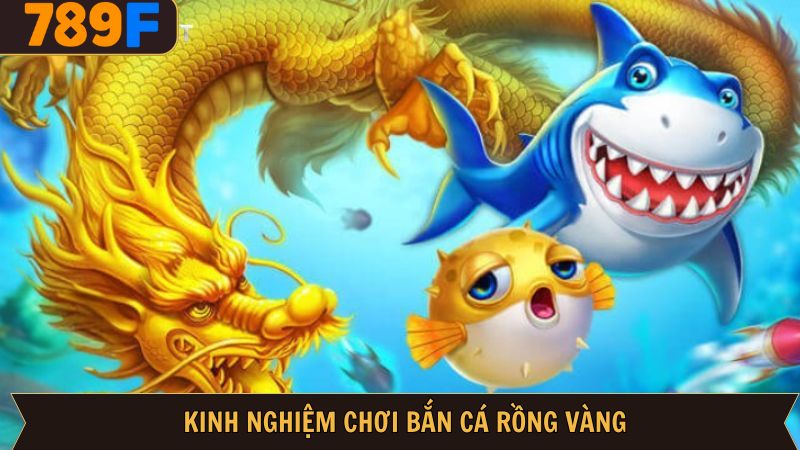 Mẹo trải nghiệm bắn cá chuẩn xác nhất